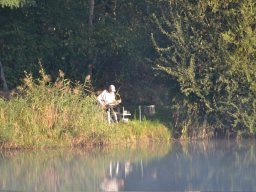 Competities HSV Alfheim