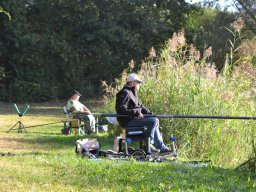 Competities HSV Alfheim