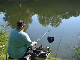 Competities HSV Alfheim