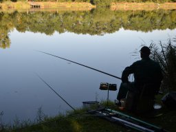 Competities HSV Alfheim