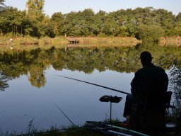 Competities HSV Alfheim