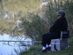 Competities HSV Alfheim