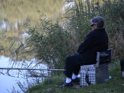 Competities HSV Alfheim