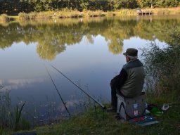 Competities HSV Alfheim