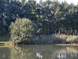 Competities HSV Alfheim