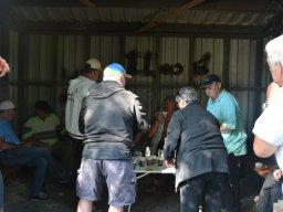 Competities HSV Alfheim